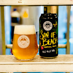 Son of a beach (Alc 4.2% Vol)