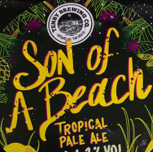 PINT Son of a beach
